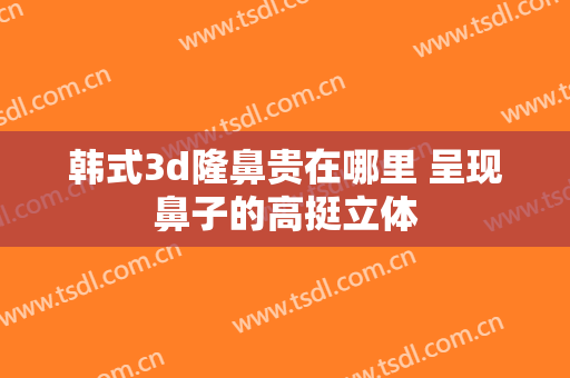 韩式3d隆鼻贵在哪里 呈现鼻子的高挺立体