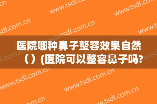 医院哪种鼻子整容效果自然（）(医院可以整容鼻子吗?)