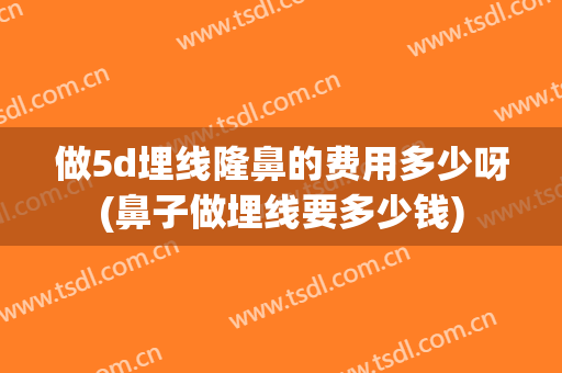 做5d埋线隆鼻的费用多少呀(鼻子做埋线要多少钱)