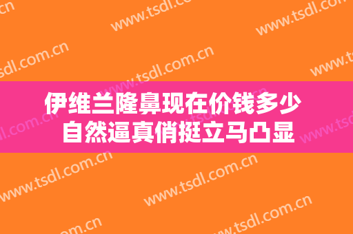 伊维兰隆鼻现在价钱多少 自然逼真俏挺立马凸显