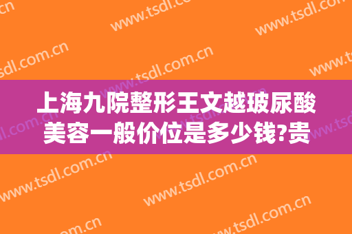 上海九院整形王文越玻尿酸美容一般价位是多少钱?贵不贵?(上海九院打玻尿酸多少钱)