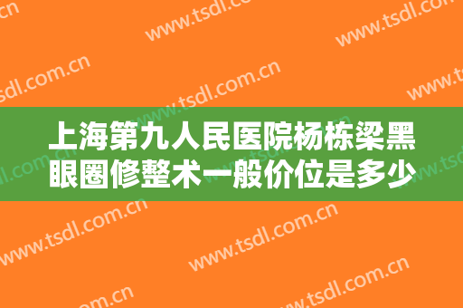 上海第九人民医院杨栋梁黑眼圈修整术一般价位是多少钱?效果怎么样?