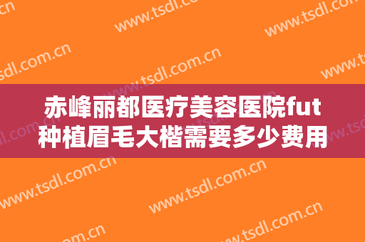 赤峰丽都医疗美容医院fut种植眉毛大楷需要多少费用?贵不贵?