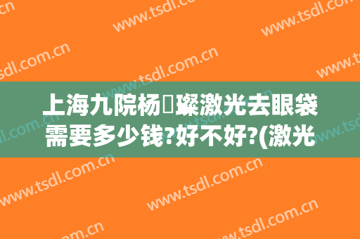 上海九院杨珵璨激光去眼袋需要多少钱?好不好?(激光去眼袋一般多少钱啊)
