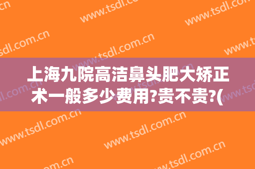 上海九院高洁鼻头肥大矫正术一般多少费用?贵不贵?(上海第九医院鼻子整形多少钱)