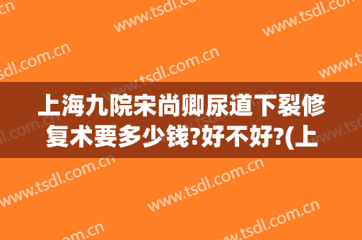 上海九院宋尚卿尿道下裂修复术要多少钱?好不好?(上海九院尿道下裂手术怎么样)