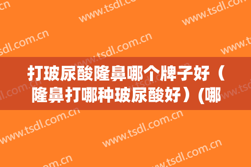 打玻尿酸隆鼻哪个牌子好（隆鼻打哪种玻尿酸好）(哪种玻尿酸隆鼻效果最好)