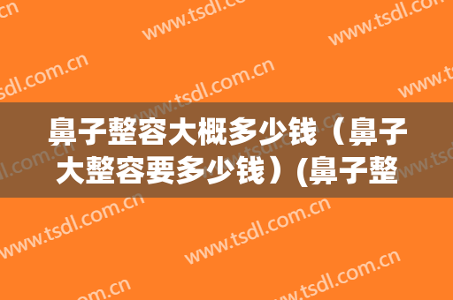 鼻子整容大概多少钱（鼻子大整容要多少钱）(鼻子整容一般的大概多少钱)