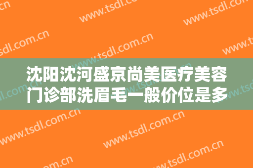 沈阳沈河盛京尚美医疗美容门诊部洗眉毛一般价位是多少钱?效果怎么样?