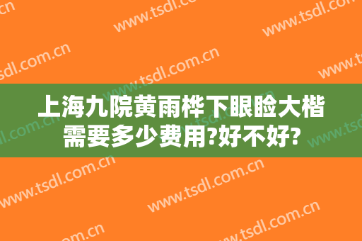 上海九院黄雨桦下眼睑大楷需要多少费用?好不好?