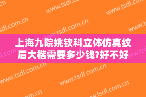 上海九院姚钦科立体仿真纹眉大楷需要多少钱?好不好?