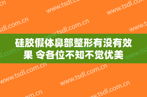 硅胶假体鼻部整形有没有效果 令各位不知不觉优美