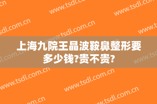 上海九院王晶波鞍鼻整形要多少钱?贵不贵?