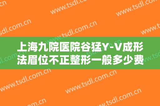 上海九院医院谷猛Y-V成形法眉位不正整形一般多少费用?有哪些优势?