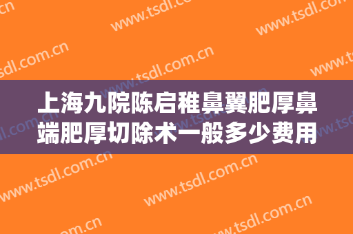 上海九院陈启稚鼻翼肥厚鼻端肥厚切除术一般多少费用?有哪些优势?(上海九院鼻部整形医生)