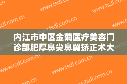 内江市中区金菊医疗美容门诊部肥厚鼻尖鼻翼矫正术大楷需要多少费用?好不好?