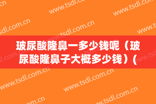 玻尿酸隆鼻一多少钱呢（玻尿酸隆鼻子大概多少钱）(玻尿酸隆鼻费用需要多少钱)