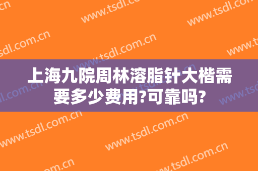 上海九院周林溶脂针大楷需要多少费用?可靠吗?
