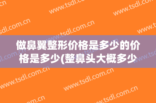 做鼻翼整形价格是多少的价格是多少(整鼻头大概多少钱)