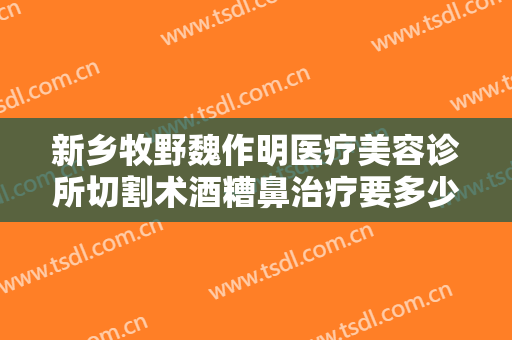 新乡牧野魏作明医疗美容诊所切割术酒糟鼻治疗要多少钱?多长时间恢复?