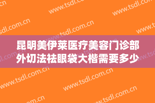 昆明美伊莱医疗美容门诊部外切法祛眼袋大楷需要多少费用?好不好?(美莱医院去眼袋)
