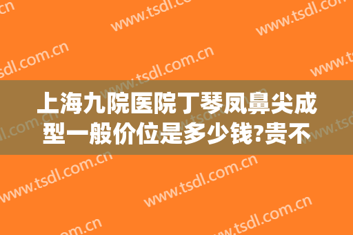 上海九院医院丁琴凤鼻尖成型一般价位是多少钱?贵不贵?(上海九院丁伟做鼻子怎么样)