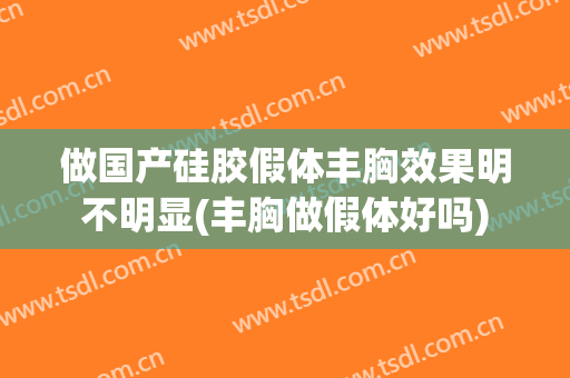 做国产硅胶假体丰胸效果明不明显(丰胸做假体好吗)