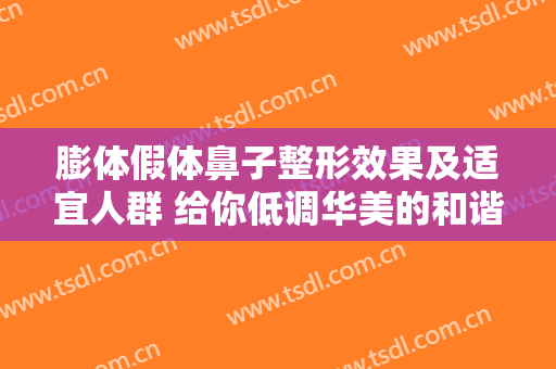 膨体假体鼻子整形效果及适宜人群 给你低调华美的和谐