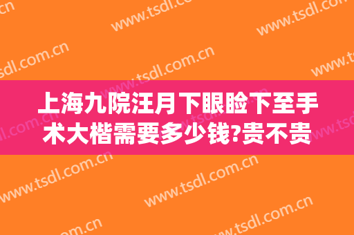 上海九院汪月下眼睑下至手术大楷需要多少钱?贵不贵?(上海九院开眼角费用)