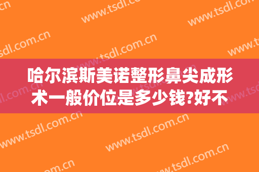 哈尔滨斯美诺整形鼻尖成形术一般价位是多少钱?好不好?(哈尔滨诺美整形医院)