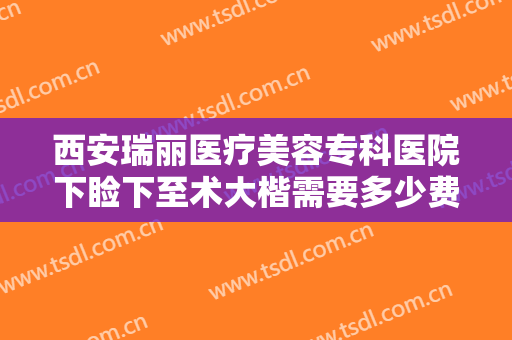 西安瑞丽医疗美容专科医院下睑下至术大楷需要多少费用?效果怎么样?