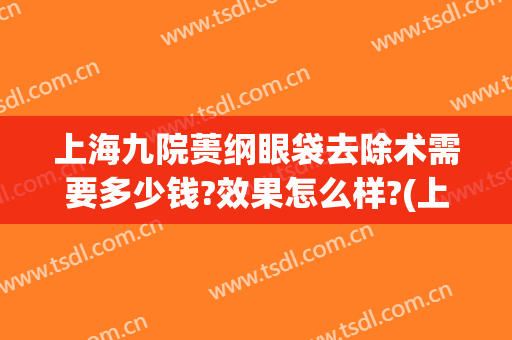 上海九院蒉纲眼袋去除术需要多少钱?效果怎么样?(上海第九人民医院祛眼袋多少钱)