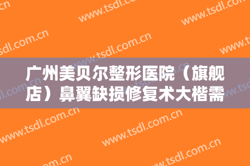 广州美贝尔整形医院（旗舰店）鼻翼缺损修复术大楷需要多少费用?可靠吗?
