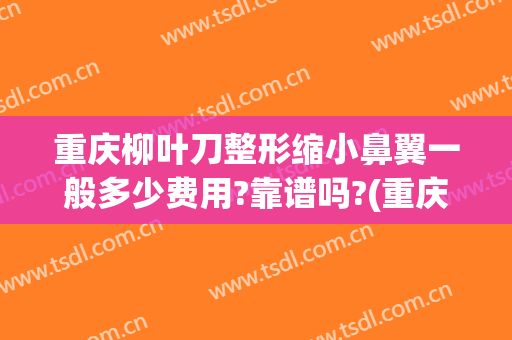 重庆柳叶刀整形缩小鼻翼一般多少费用?靠谱吗?(重庆鼻翼缩小手术)