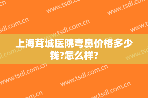上海茸城医院弯鼻价格多少钱?怎么样?