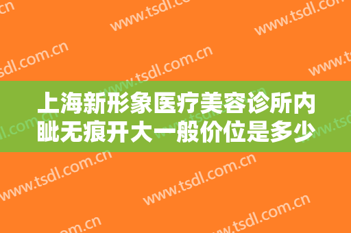 上海新形象医疗美容诊所内眦无痕开大一般价位是多少钱?可靠吗?