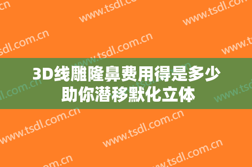 3D线雕隆鼻费用得是多少 助你潜移默化立体