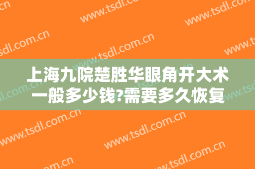 上海九院楚胜华眼角开大术一般多少钱?需要多久恢复?