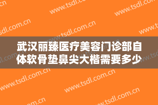 武汉丽臻医疗美容门诊部自体软骨垫鼻尖大楷需要多少费用?效果怎么样?