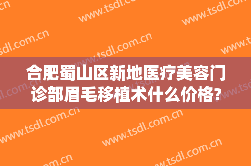 合肥蜀山区新地医疗美容门诊部眉毛移植术什么价格?贵不贵?(合肥蜀山区整容医院)