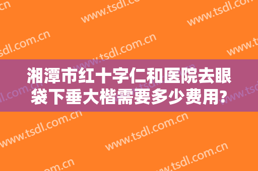 湘潭市红十字仁和医院去眼袋下垂大楷需要多少费用?好不好?
