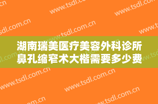 湖南瑞美医疗美容外科诊所鼻孔缩窄术大楷需要多少费用?靠谱吗?