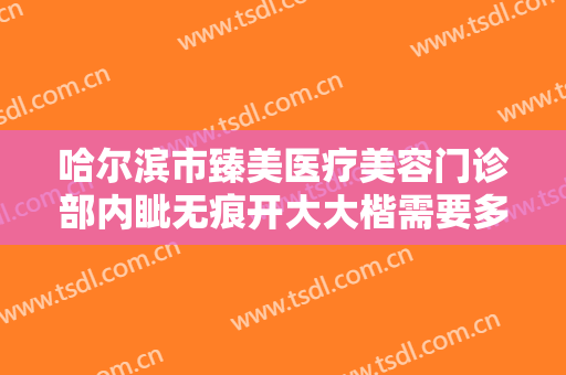 哈尔滨市臻美医疗美容门诊部内眦无痕开大大楷需要多少费用?好不好?