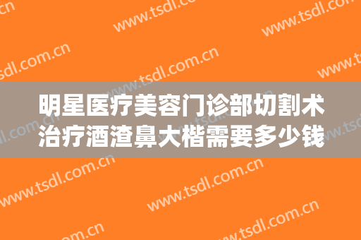明星医疗美容门诊部切割术治疗酒渣鼻大楷需要多少钱?可靠吗?(酒糟鼻切割术价格)
