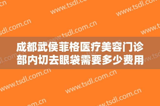 成都武侯菲格医疗美容门诊部内切去眼袋需要多少费用?可靠吗?