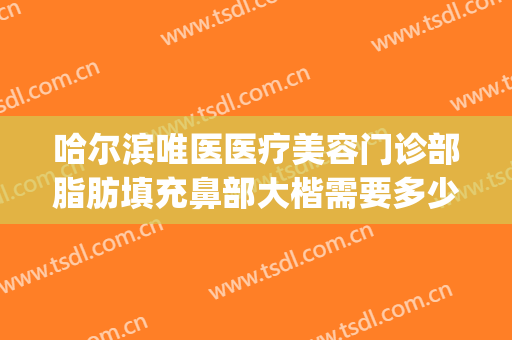 哈尔滨唯医医疗美容门诊部脂肪填充鼻部大楷需要多少费用?靠谱吗?(唯医整形哈尔滨)