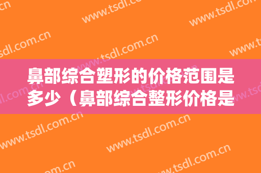 鼻部综合塑形的价格范围是多少（鼻部综合整形价格是多少）(综合鼻整容 价格)