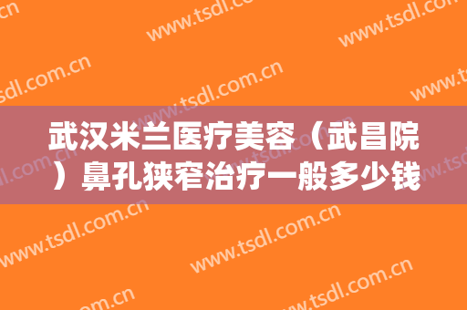 武汉米兰医疗美容（武昌院）鼻孔狭窄治疗一般多少钱?靠谱吗?(武汉米兰整形医院怎么样)