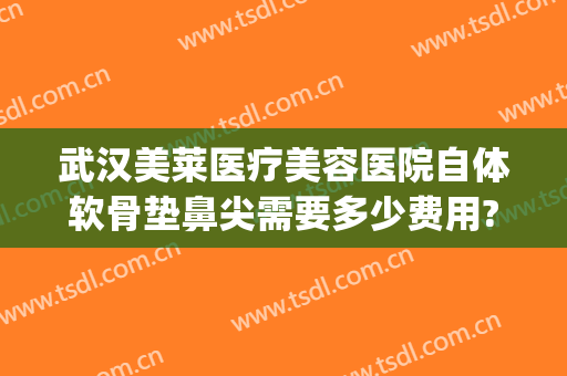 武汉美莱医疗美容医院自体软骨垫鼻尖需要多少费用?好不好?(用自体软骨垫鼻梁需要多少钱)