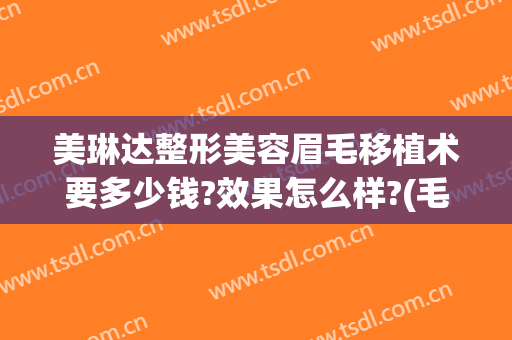 美琳达整形美容眉毛移植术要多少钱?效果怎么样?(毛囊移植眉毛多少钱)